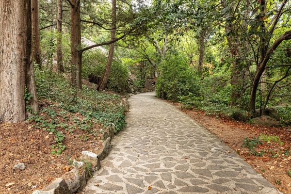 Stone Walkway Repair in Bentonville