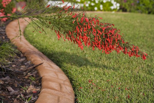 Brick Edging in Bentonville