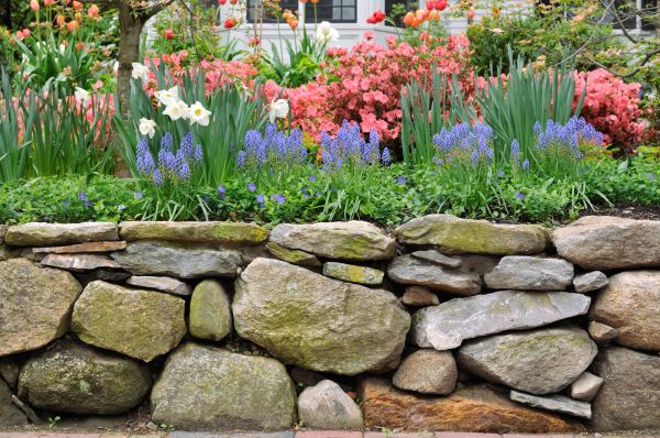 Stone Wall Hardscaping in Bentonville