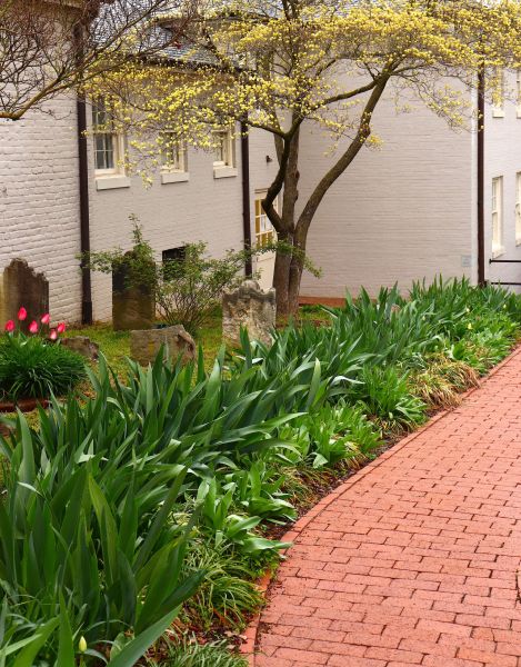 Brick Flatwork Repair in Bentonville